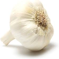 Organic Garlic