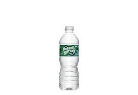 Poland Spring Water 1 Bottle 16 fl oz