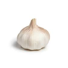 Organic Garlic